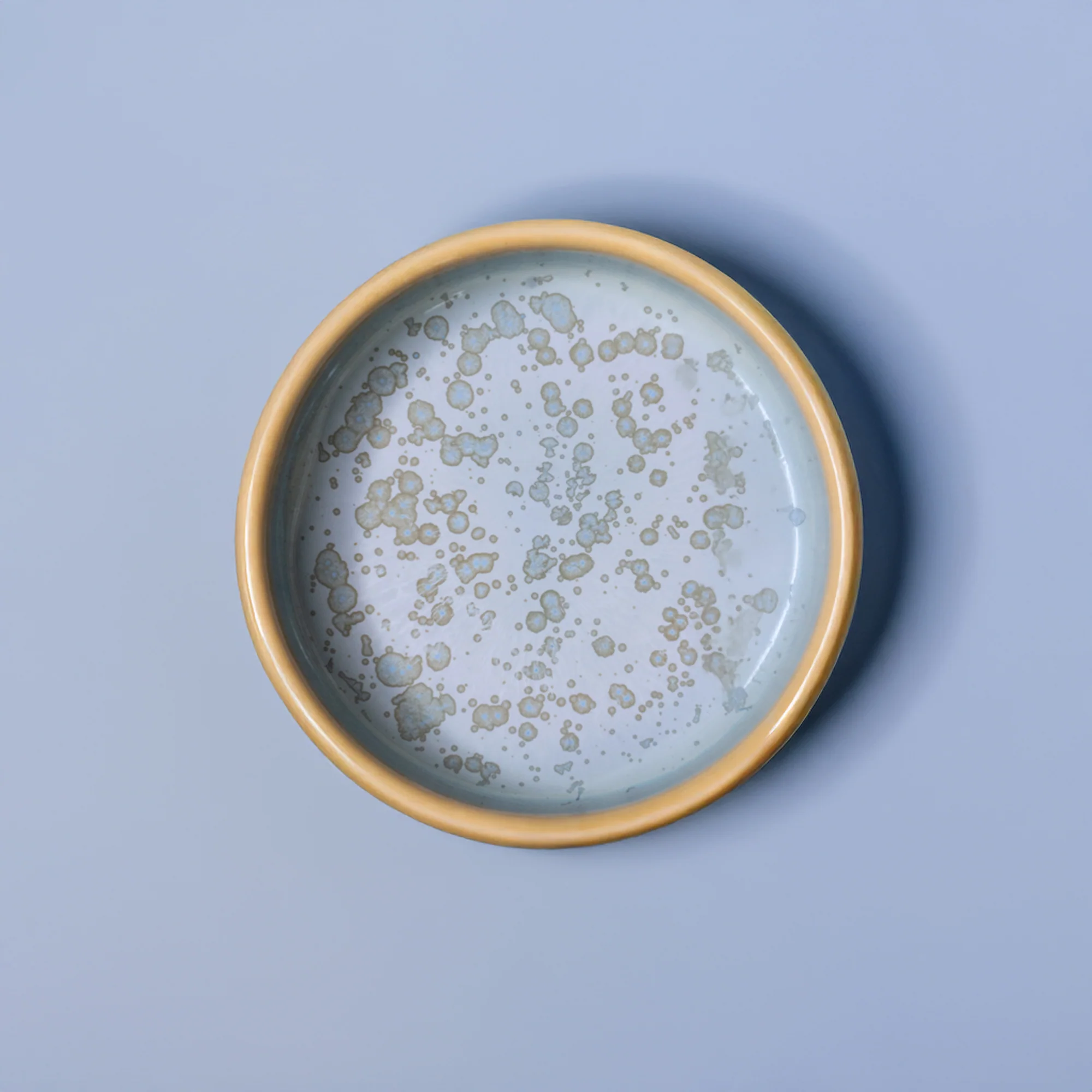 Condiment Bowl - Image 95