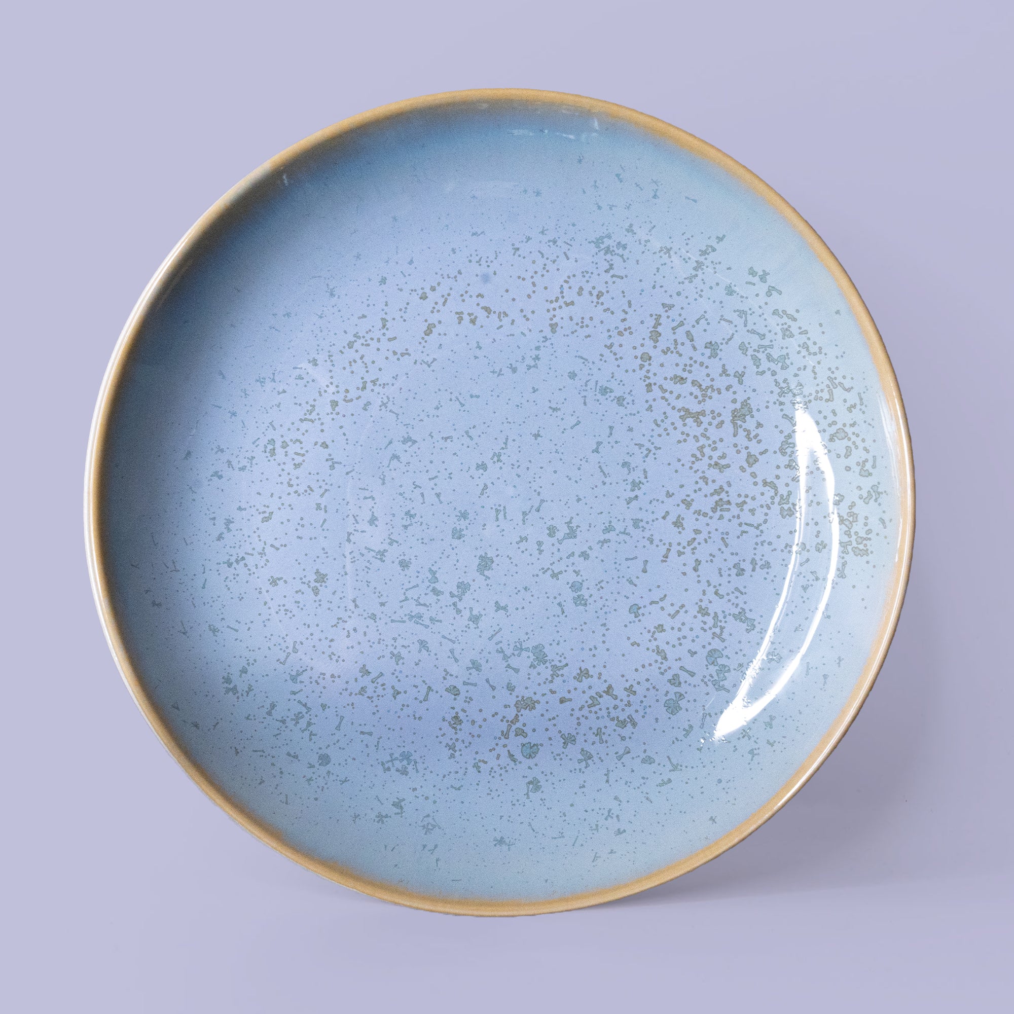 Dinner plate - Image 17