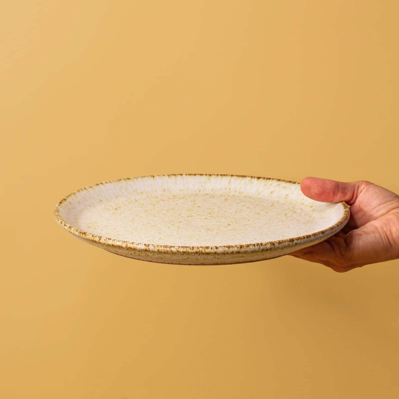 Dinner plate - Image 30