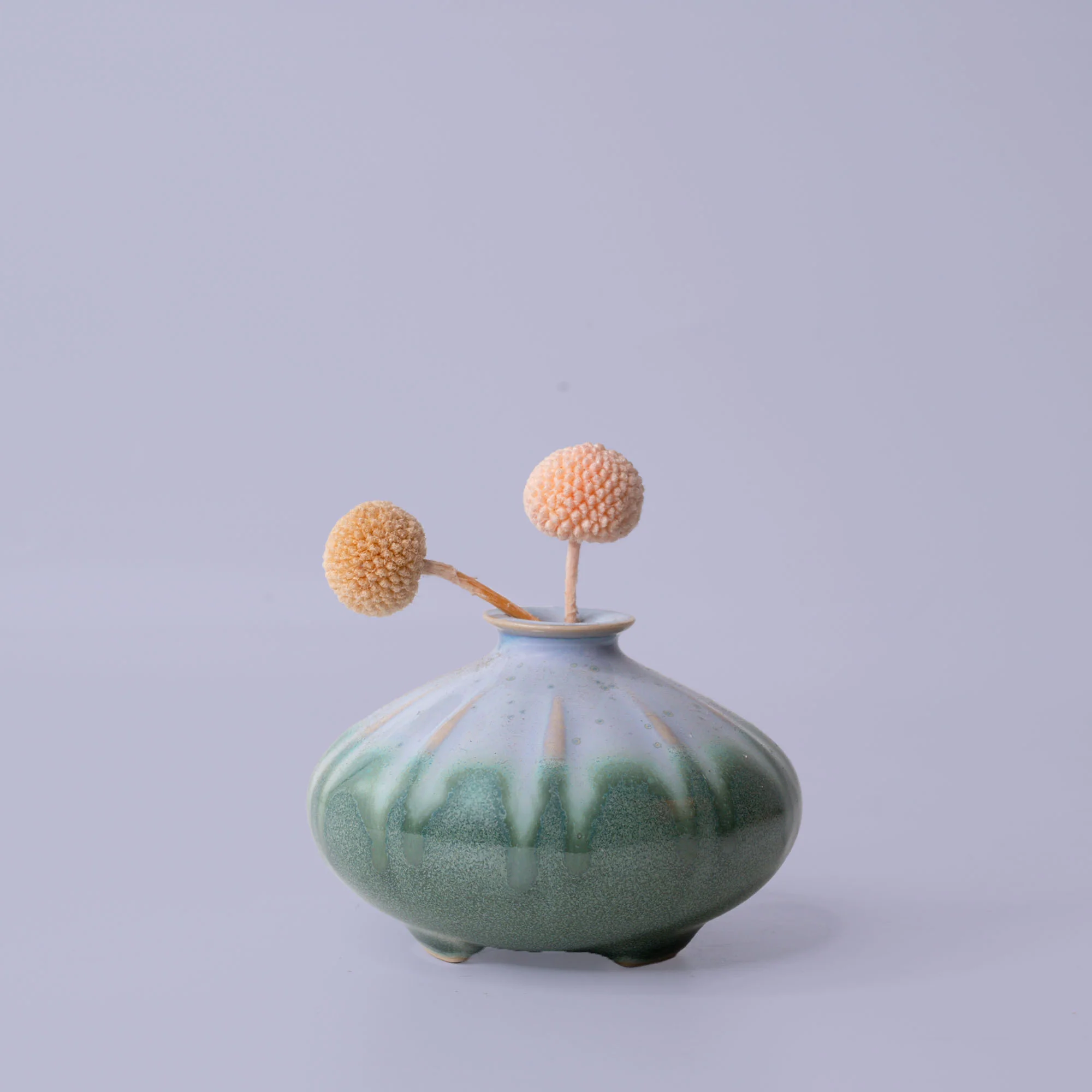 Shelly Ceramic Vase - Image 14
