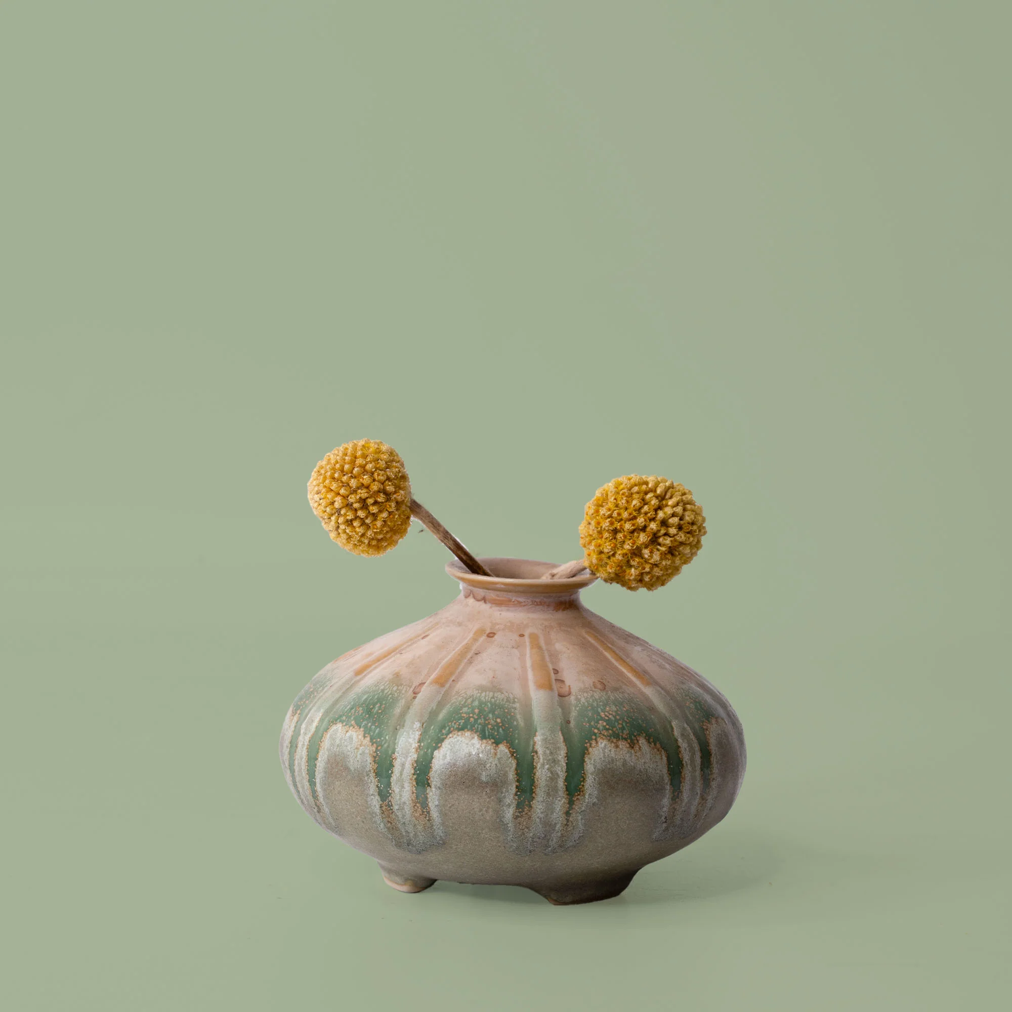 Shelly Ceramic Vase - Image 18