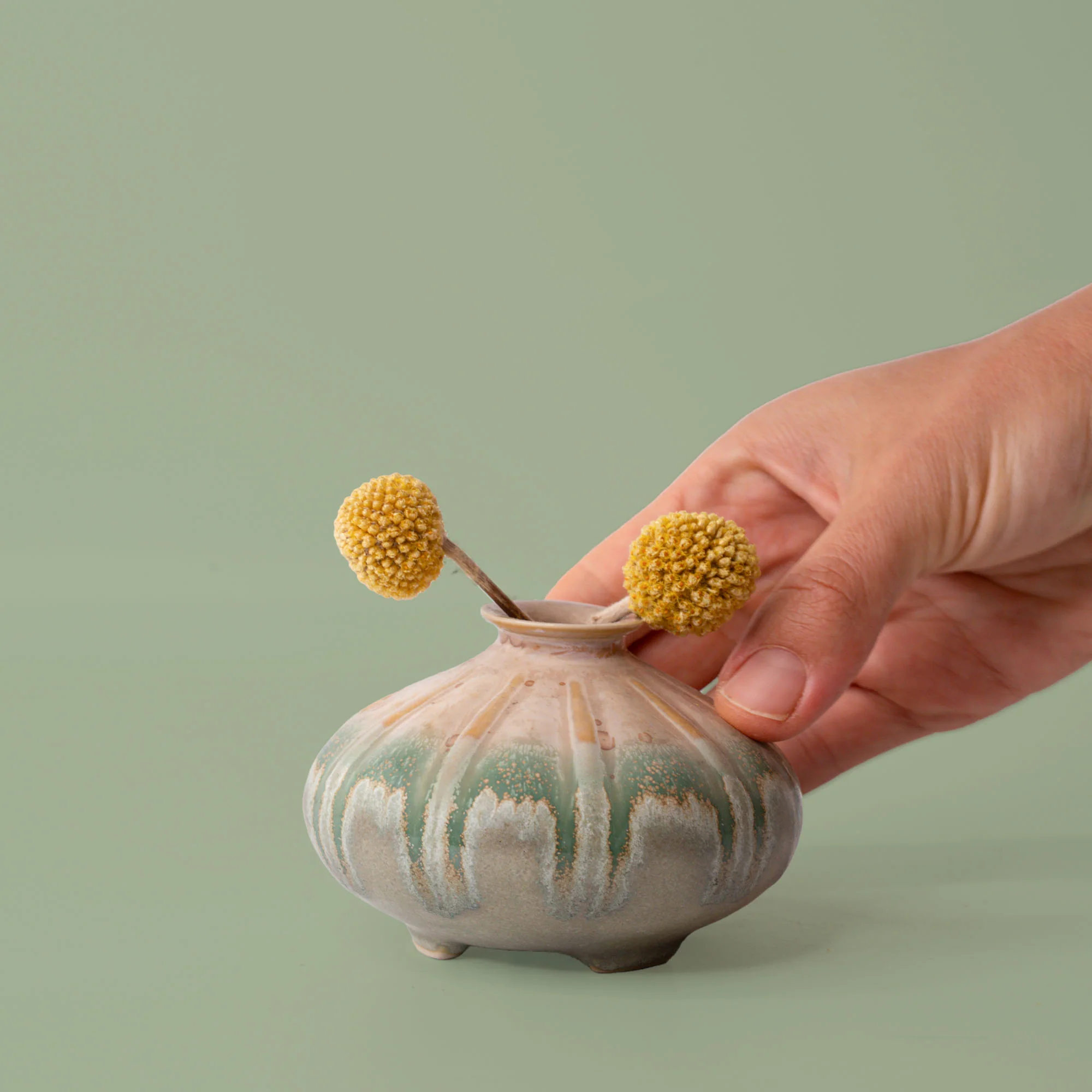 Shelly Ceramic Vase - Image 19