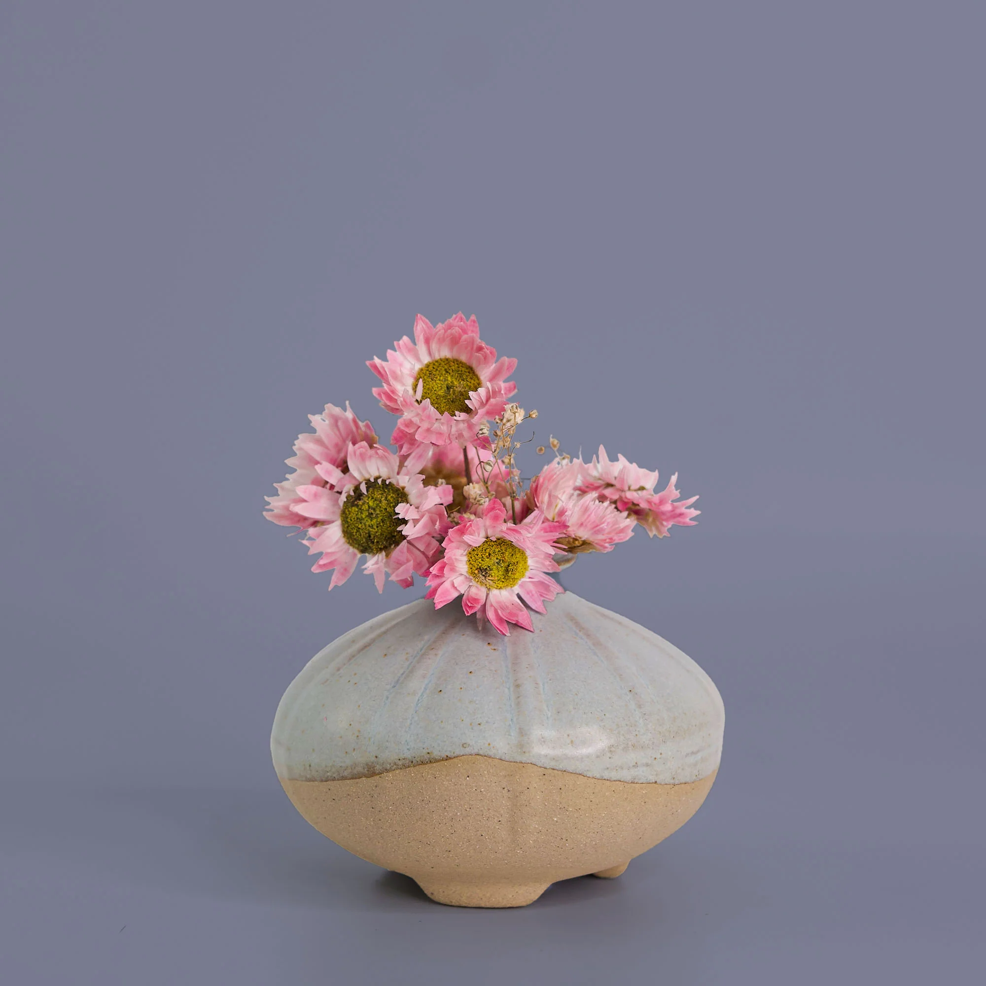 Shelly Ceramic Vase - Image 25