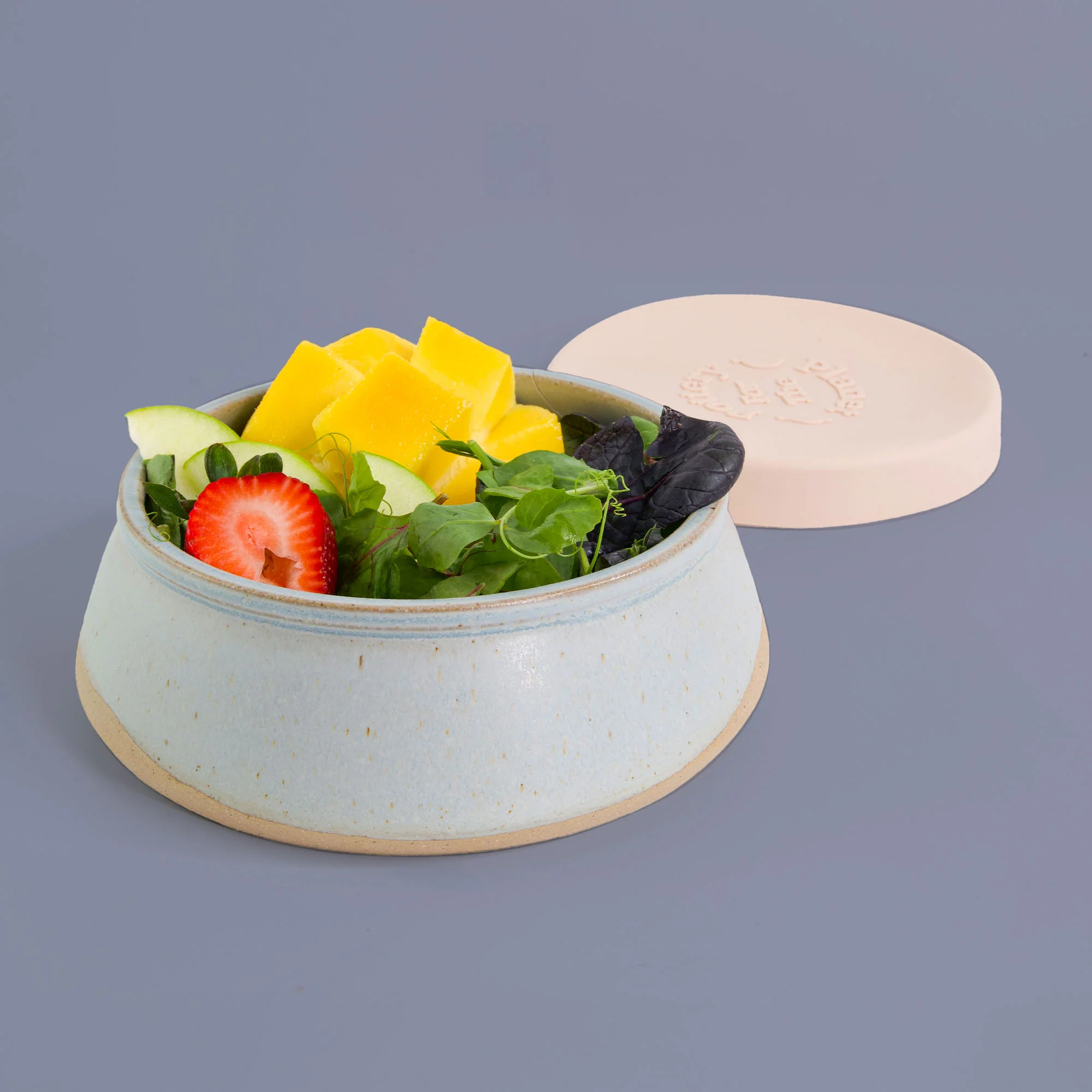 Silvermist Travel Bowl - Image 4